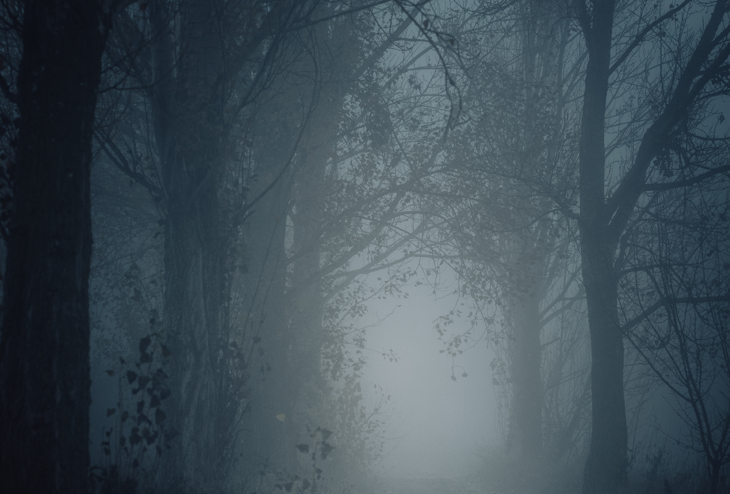 5 Marketing Fears Holding You Back